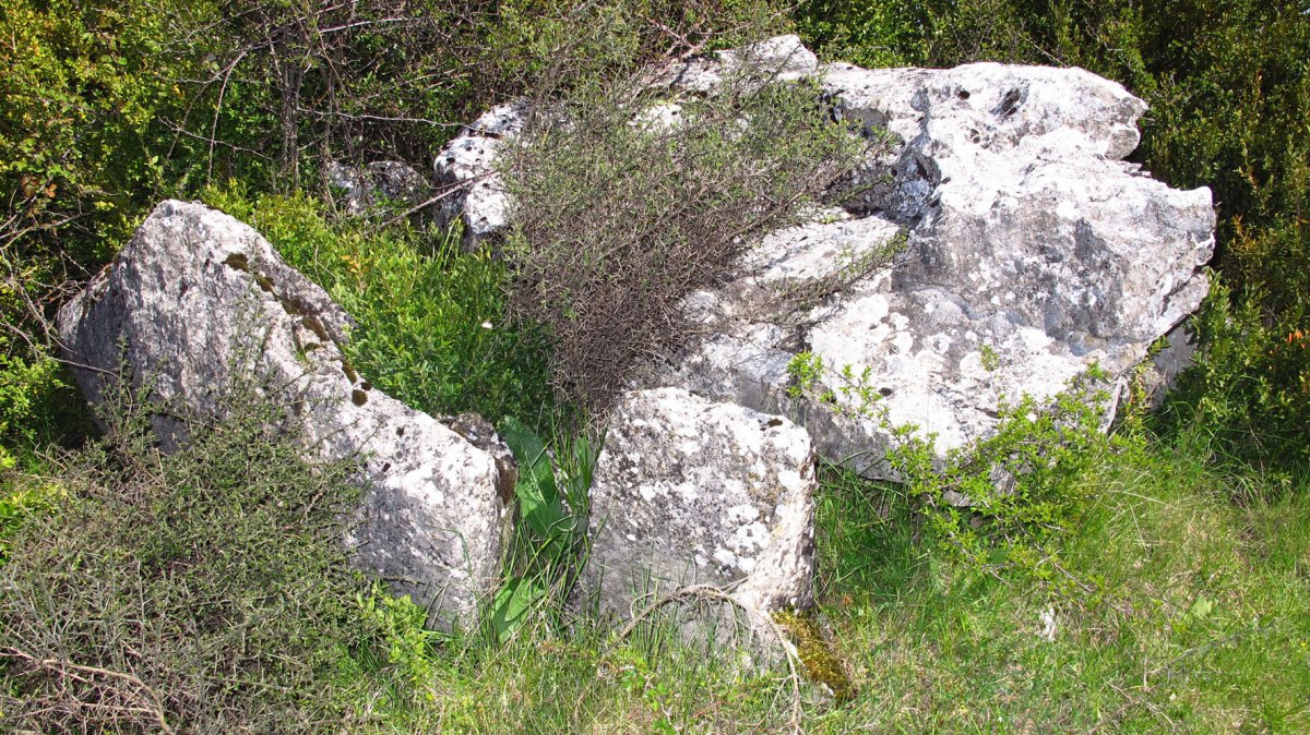 Ugarra 3 ipar trikuharria, Napal-Erromantzatua