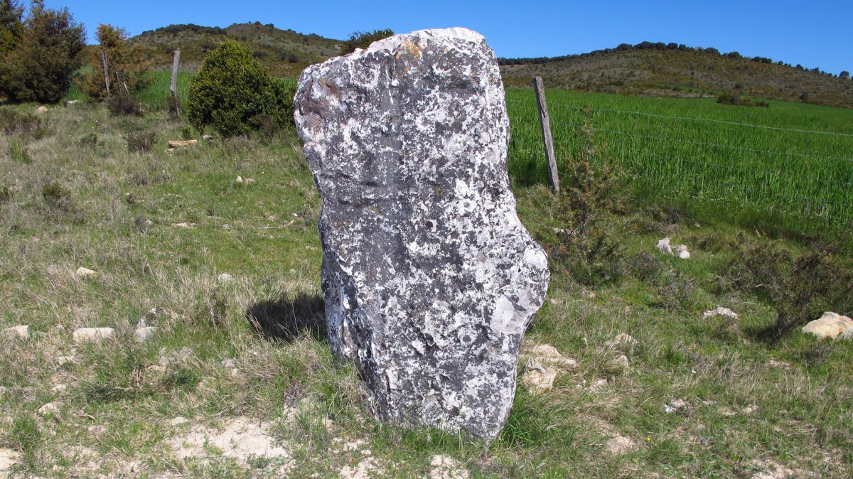 Ugarra zutarria, Napal-Erromantzatua