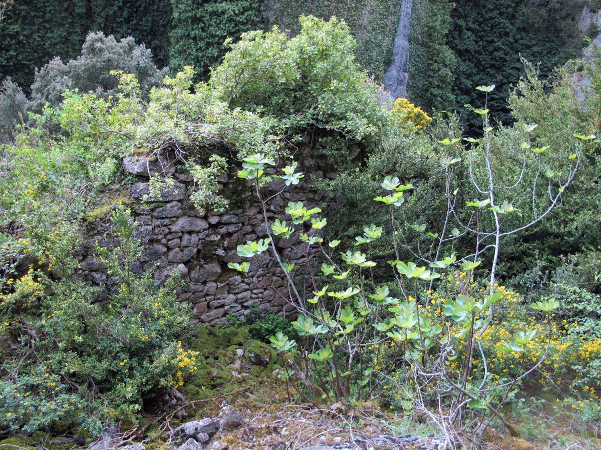 San Kiriako ermitaren hondakinak, Etxauri