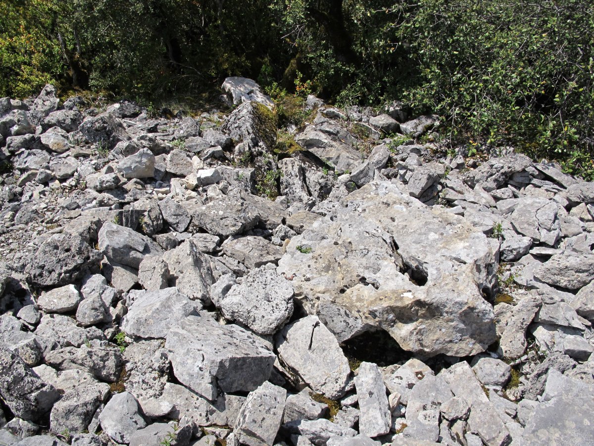 Puyomediano 2 trikuharria, Domeño-Erromantzatua