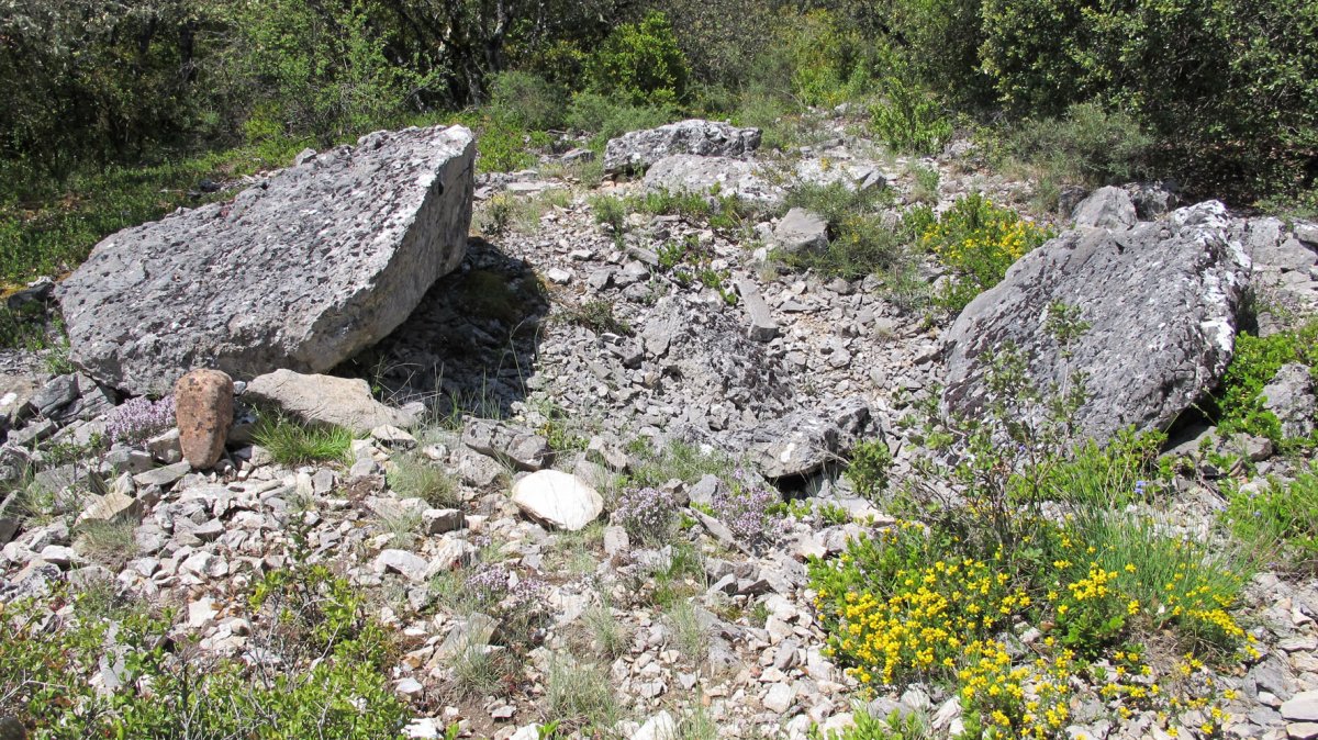 Puyomediano trikuharria, Domeño-Erromantzatua