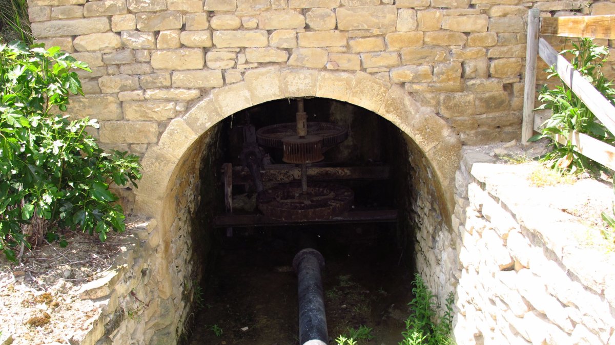 Zareko errota, Ezporogi