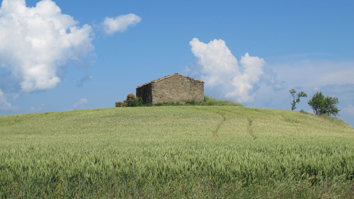 Santa Eufemia ermita, Zare
