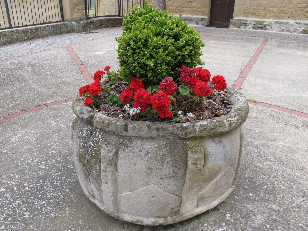 San Migel eliza, Eslaba