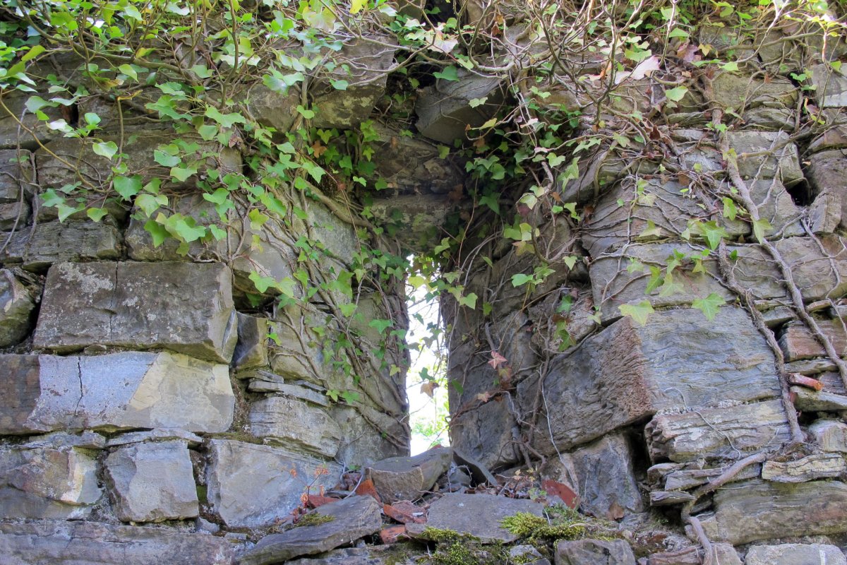 Tirapegiko San Pedro ermitaren hondakinak, Esteribar