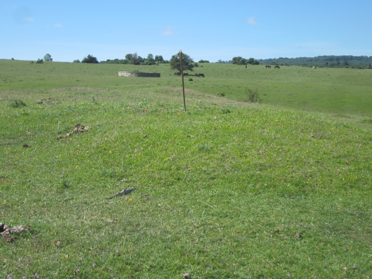 Fondo de Cabaña Sima de los Fusilados 1 (06-2016) detrás la sima 