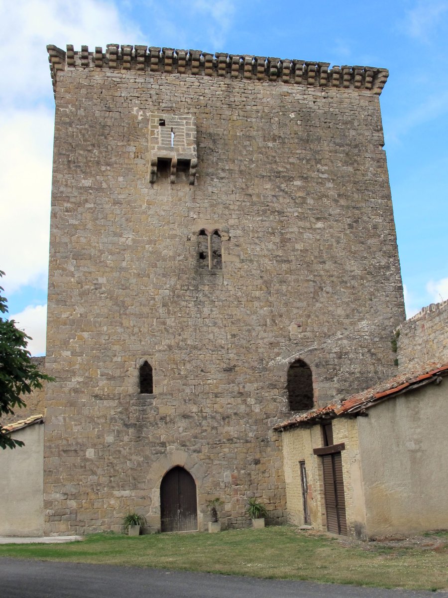 Arazuriko Leinu-etxe jauregia, Arazuri-Oltza