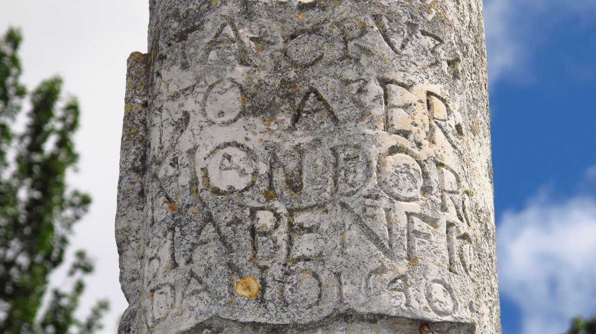 Kruzeroa, Ororbia-Oltza