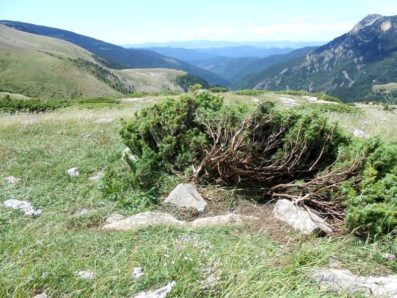 Faja de Napazal trikuharria