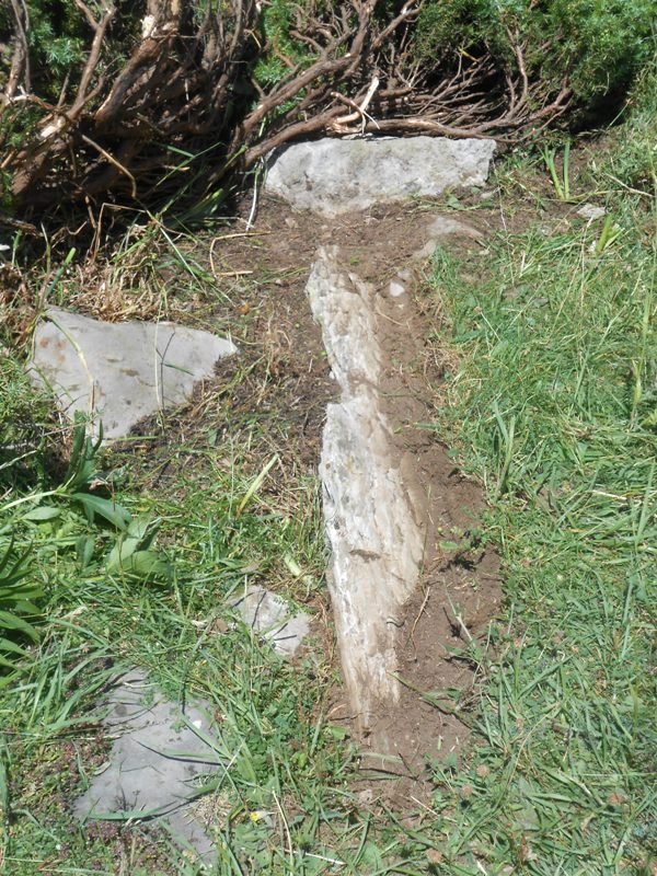 Faja de Napazal trikuharria