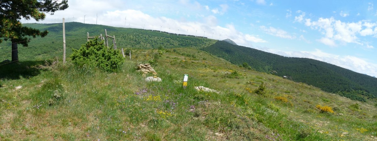 Iratxetako muga, gailurra