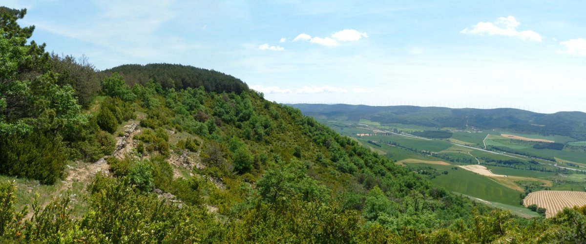 Karramitxa mendebaldeko lepotik