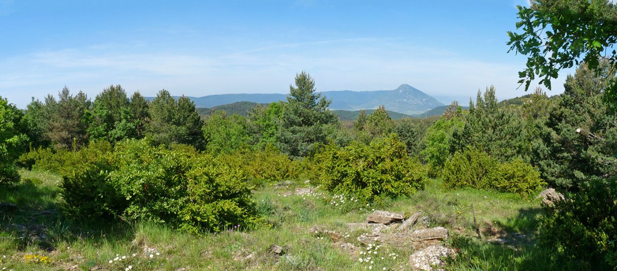 Salerasko tako geodesikoa dagoen gailurra