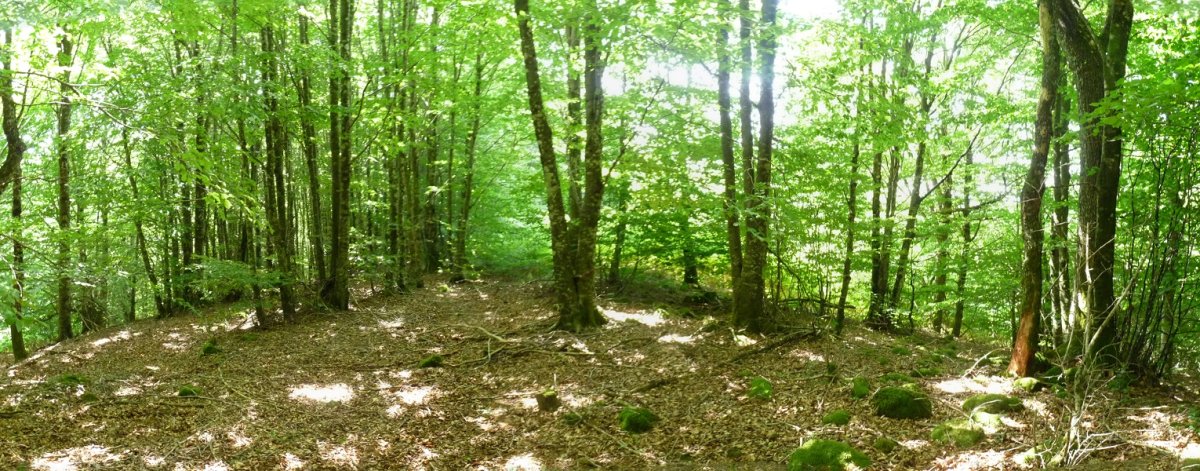 Urkizuko hegoaldeko gailurra