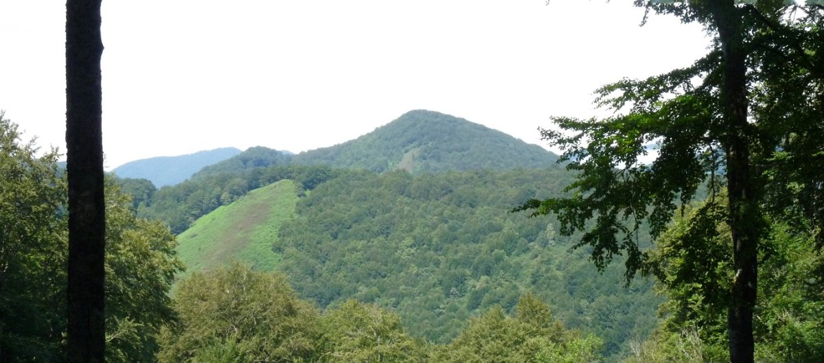 Analaz Urkizu menditik