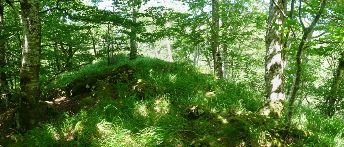 Arrizorrotz (793m), Analazko ipar gailurra