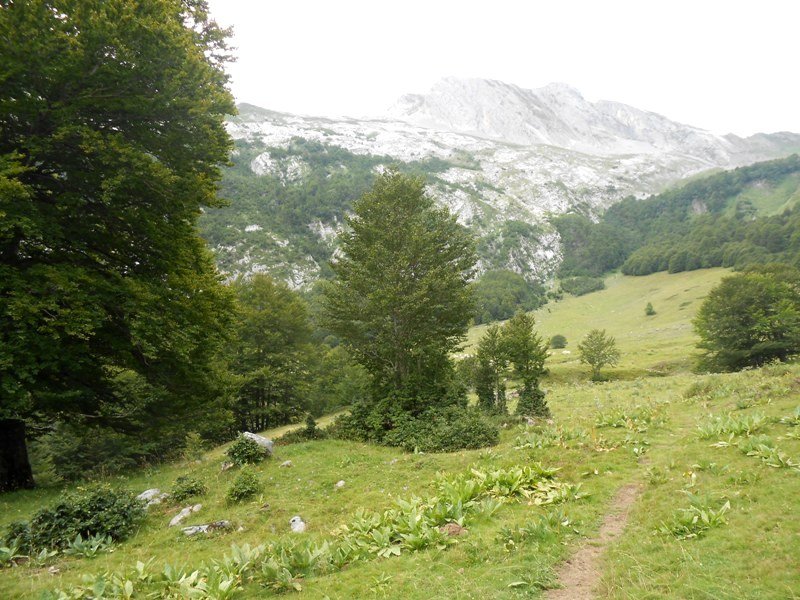 Characou 1 trikuharria