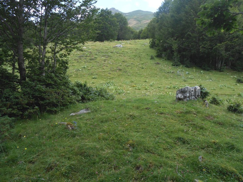 Characou 1 trikuharria