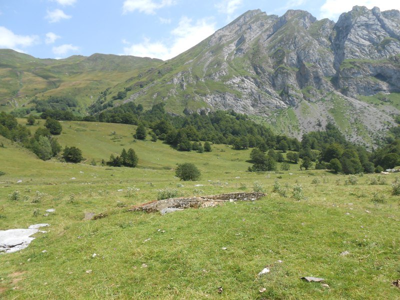 Characou 4  trikuharria