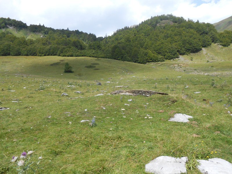 Characou 4  trikuharria