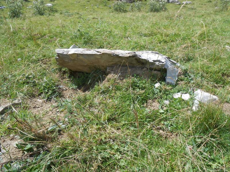 Characou 5 trikuharria