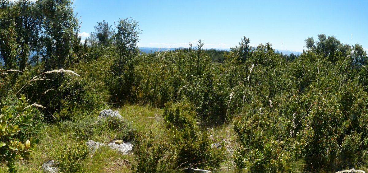 Valdepeñako gailurra