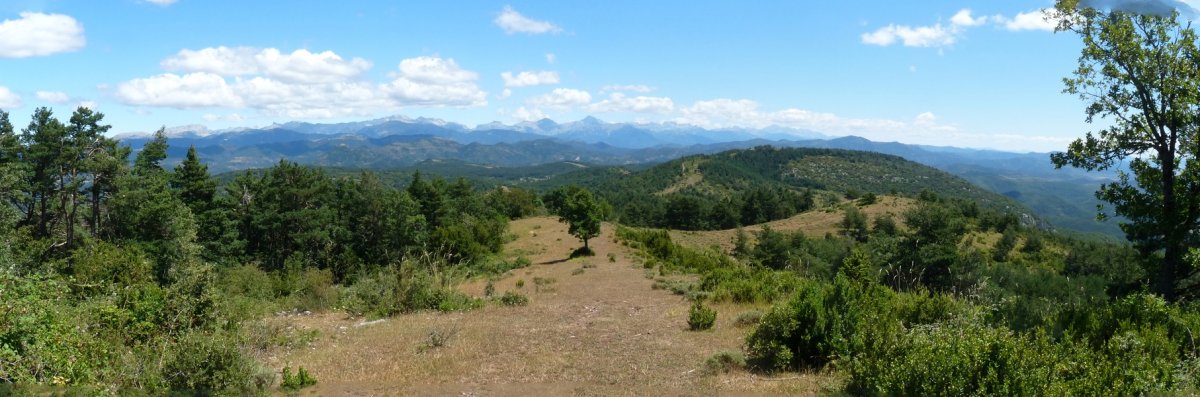 Pirinioak Bardipeñatik