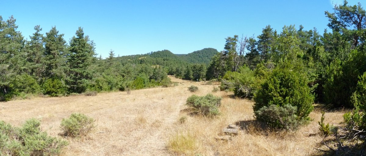 Bizkarraundia (991m)