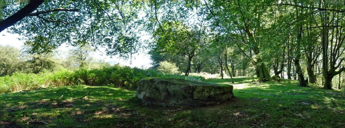 Ehiartzeko kaskoa, zutarri erraldoia gailurrean