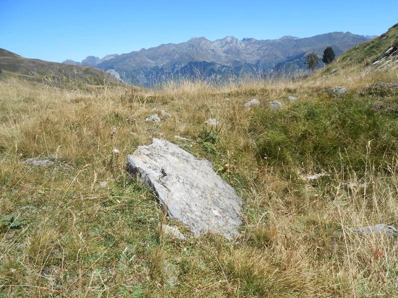 Saoubathou trikuharria