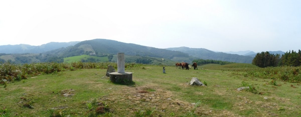 Arritxurieta gaineko gailurra