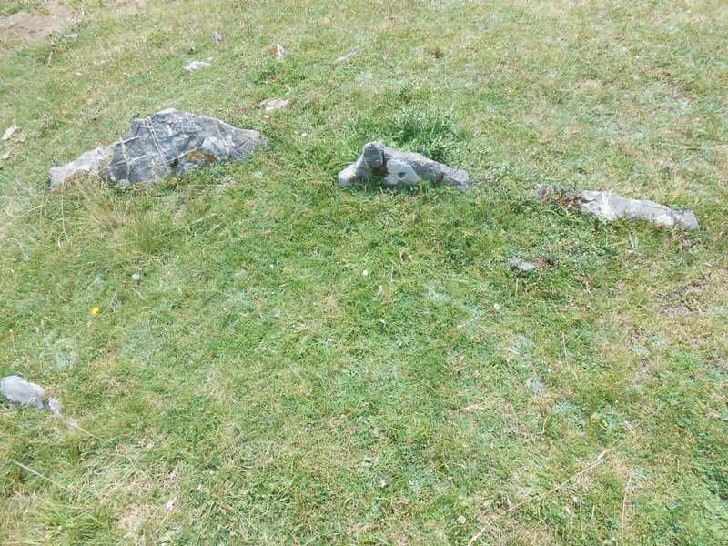 La Cuarde 1 trikuharria