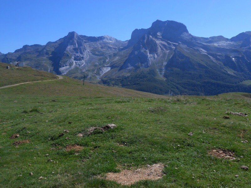 Aubisque tumulua