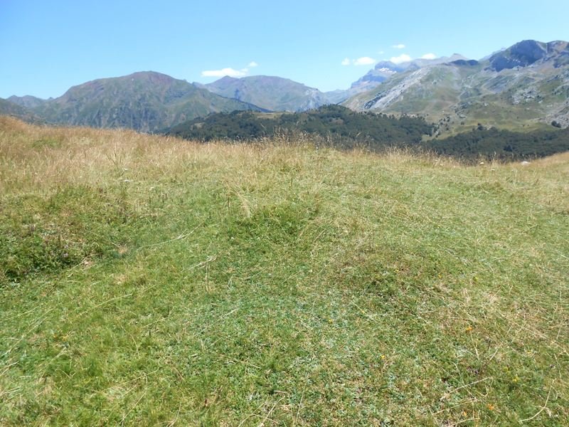 Arroyo de Escuret etxola hondoa