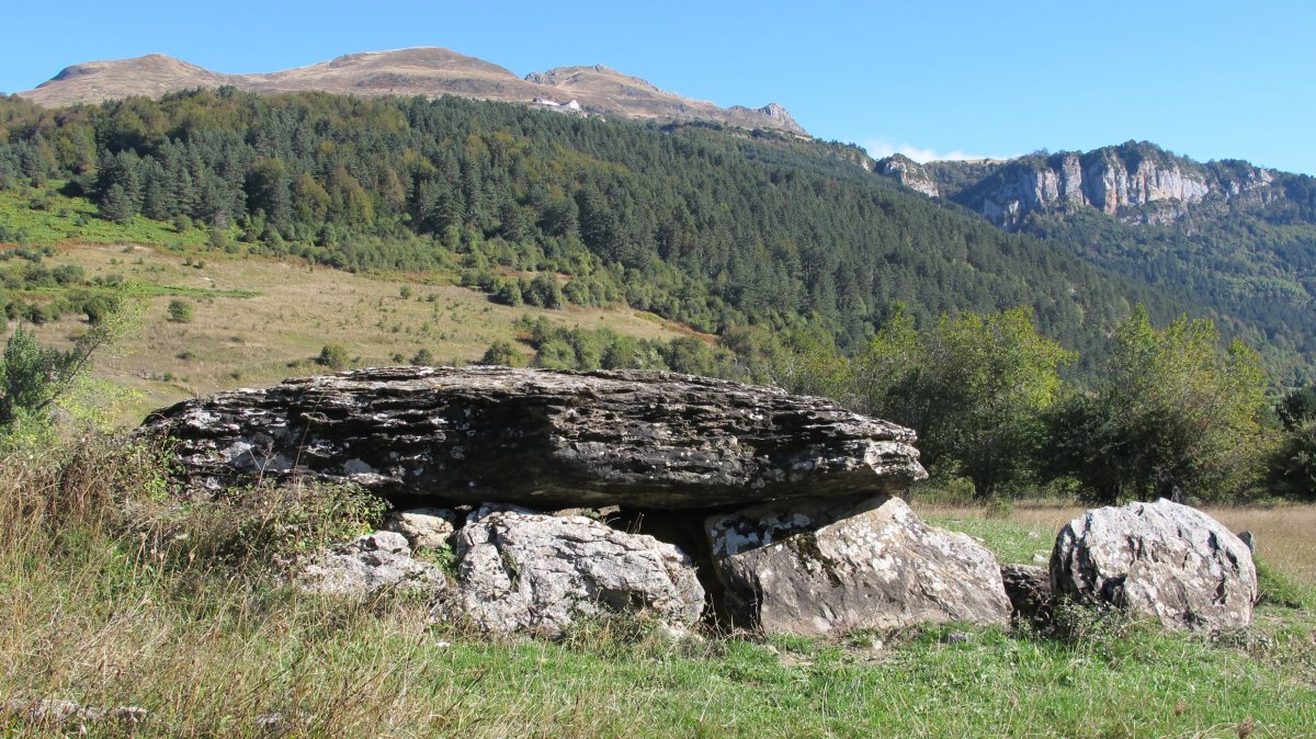 Arrako trikuharria, Izaba