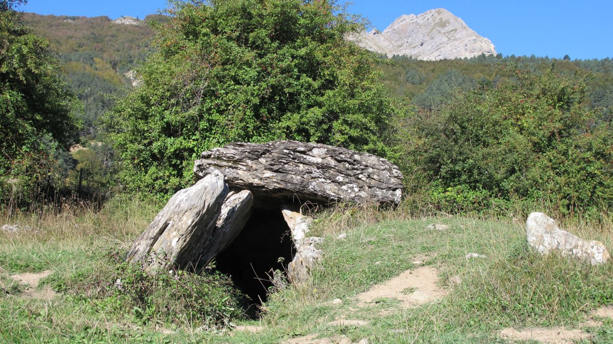 Arrako trikuharria, Izaba