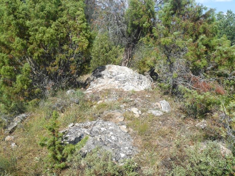 As Tallatas trikuharria