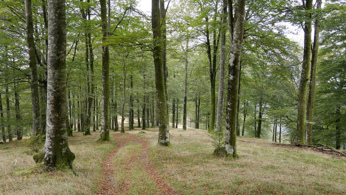 Urkieta aldera jaisten den bidea