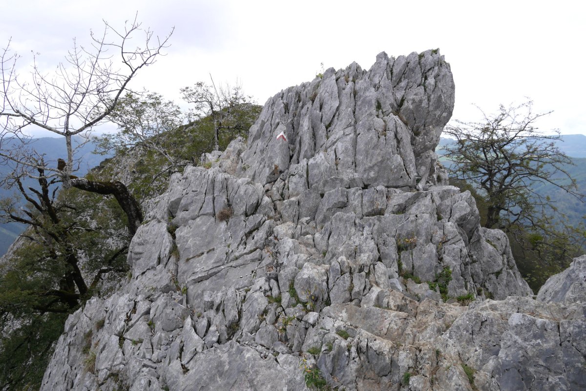 Urkietako bizkarreko bidea