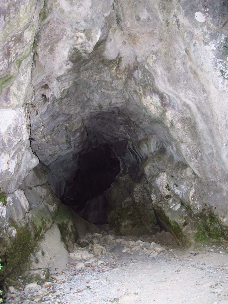 Iboneko Kobazuloa, Izaba