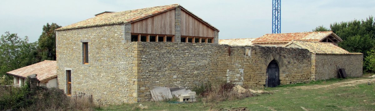 Gongora jauregia, Gongora-Aranguren