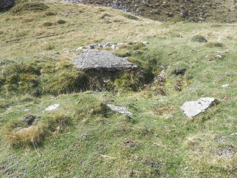 Countendé 1 trikuharria