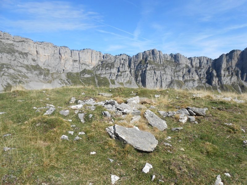 Countendé 1 trikuharria