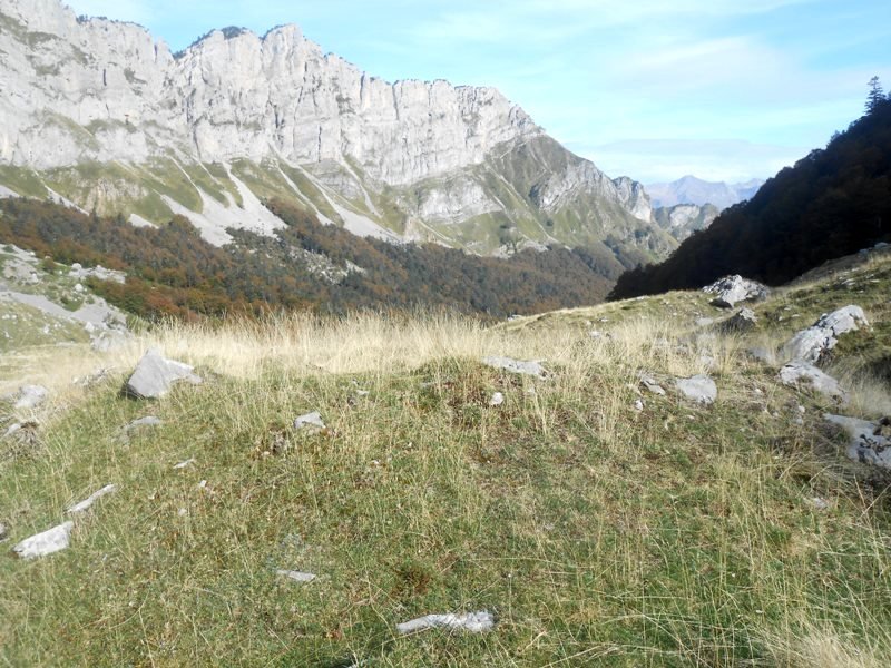 Countendé 2 trikuharria