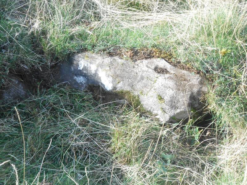 Countendé 2 trikuharria