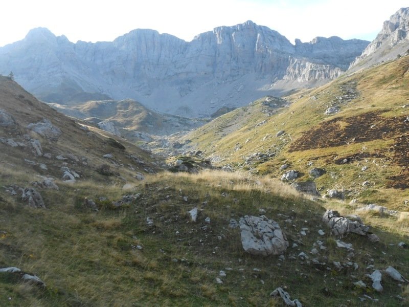 Countendé 2 trikuharria