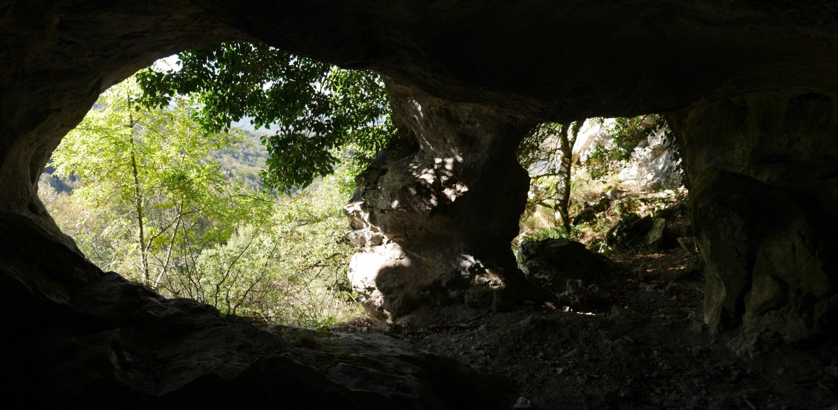 Harpe baten bi begiak, barrutik. Orobe.