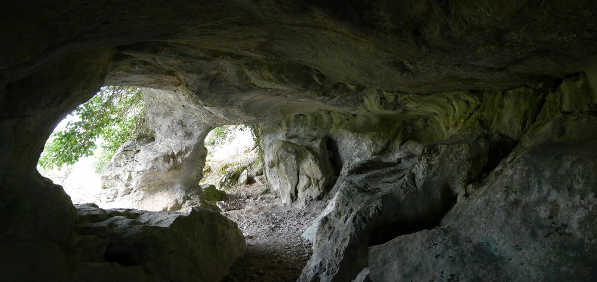 Harpea barrutik. Orobe.