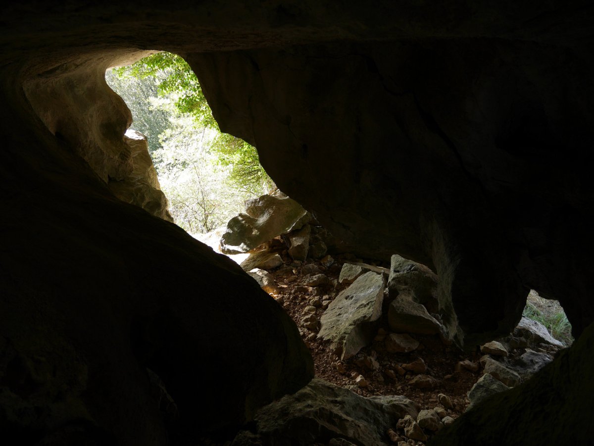 Lehenengo galeria, barrutik