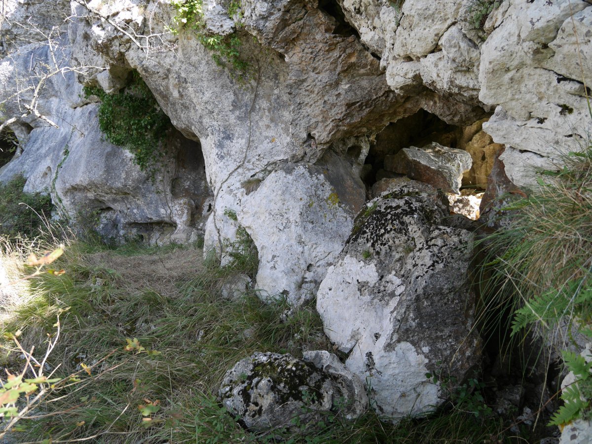 Lehenengo galeriaren sarrerak